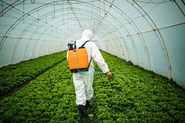 Best Best Pest Control Near Me  in Rock Springs, NM