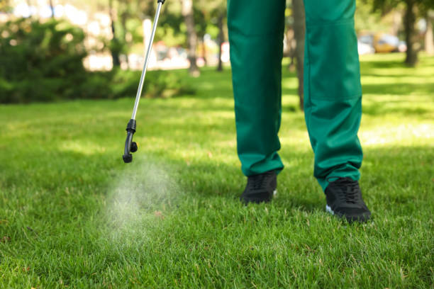 Best Best Pest Control Companies  in Rock Springs, NM