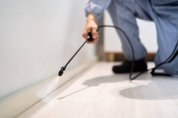 Best Pest Prevention Services  in Rock Springs, NM