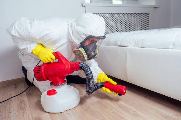 Best Bed Bug Extermination  in Rock Springs, NM