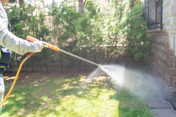 Best Pest Control Near Me in Rock Springs, NM