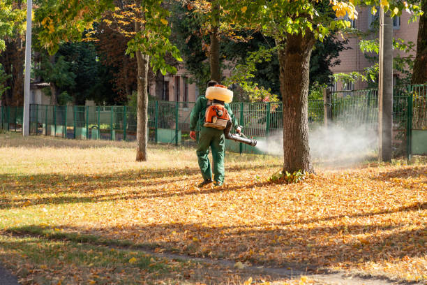 Best Termite Control Services  in Rock Springs, NM