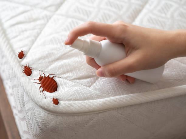 Best Pest Control for Businesses  in Rock Springs, NM