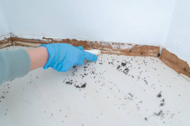 Best Pest Inspection Near Me  in Rock Springs, NM